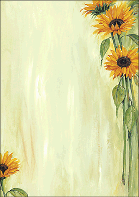 Sigel Motiv-Papier Sunflower/DP694 A4 90 g Inh.25