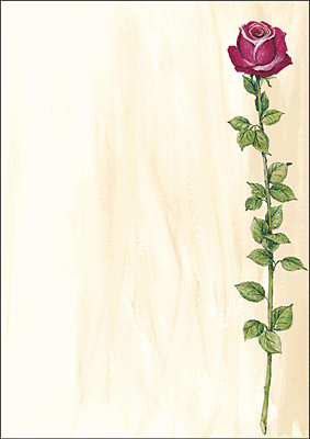 Sigel Motiv-Papier Rose Bloom/DP695 A4 90 g Inh.25