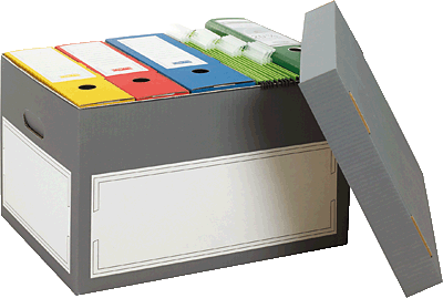 Smartboxpro Archivbox/152519124 B460xH300xT390 mm anthrazit/weiß Inh.2