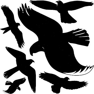 Avery Zweckform Warnvögel/4485 28 x 18/8 x 5,5 cm schwarz wetterfest