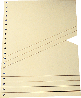 Staffeltrennblätter/9591100100 B230xH300 mm chamois 200 g/qm Inh.100