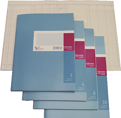 K + E Spaltenbücher Kartonheft m. Kopfleiste/8611701-7120K40KL 27,7x25,7 cm blau 20 Spalten Inh.40 Blatt