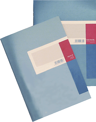 K + E Spaltenbücher Kartonheft fester Kopf/8614411-610K40 A4 blau 1 Spalte Inh.40 Blatt