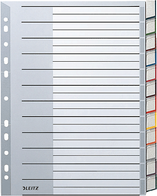 Leitz Plastikregister Blanko/1274, 238 mm, 297 mm grau A4 12-teilig