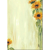 Sigel Motiv-Papier Sunflower/DP694 A4 90 g Inh.25
