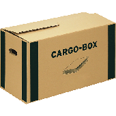 Smartboxpro Bücherbox/118700122 560 x 330 x 293 mm braun/grün 585 x 300 x 350 mm