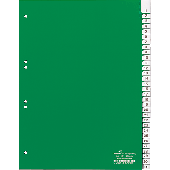 Durable Register/6219-05 DIN A4 hoch grün 31-teilig