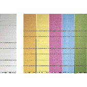 Leitz Beschriftungsschilder/1901-00-01 60x21mm weiß 120g/qm Inh.100